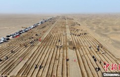 沙漠植绿 新疆昆玉市掀沙漠造林热潮