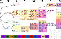 一周内感染占比超40%！XBB.1.5已成美国“头号流行株”，关键突变致最强“免疫逃逸”能力