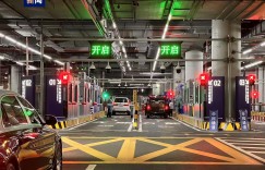 8万多名居民享受红利！“澳车北上”今起实行，首批澳门单牌车顺利入境，“港车北上”啥时候实施？