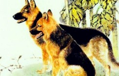 2023 年更容易升职加薪的四个生肖，心里有勇气，赚钱高效率