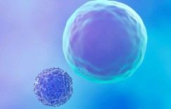 NMN改善听力,nmn听力改善,健康新突破！