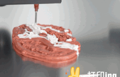 看完了深圳的一些高科技，还是会觉得很神奇……