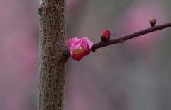 农村夫妻进城打工赚钱后，离婚率却越来越高，3点原因太现实