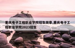 重庆电子工程职业学院招生简章,重庆电子工程职业学院2023招生