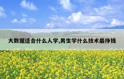 大数据适合什么人学,男生学什么技术最挣钱