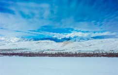 粉妆玉砌！是你啊，草原冬雪