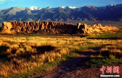 人这一辈子，一定要去一趟巴里坤！