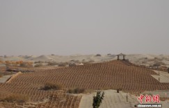 大漠访千年古刹 黄沙掩东西“佛缘”