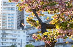 饭菜形同泔水！学校食堂承包被学生吐槽，为赚钱猪油蒙了心