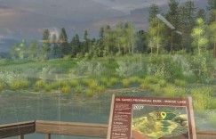 莱斯大学研究员用微软HoloLens 2进行野外林下植被测量