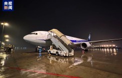 旅日大熊猫“永明”及双胞胎女儿飞抵成都