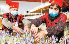 31省份上年平均工资数据出炉 平均工资怎么看？