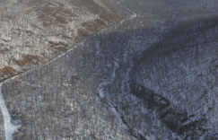 12.5亿像素的东北虎豹国家公园VR全景图：92张8K照片合成