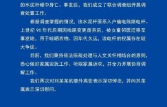 5岁女童被废弃电线杆砸中身亡,湖南益阳再通报